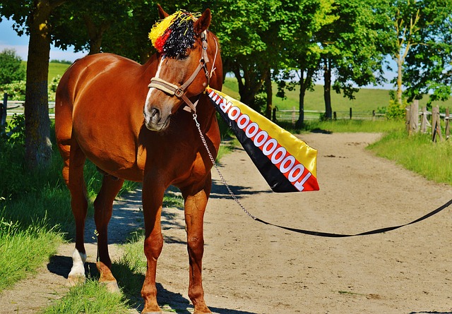 够在本次比 够在本次比